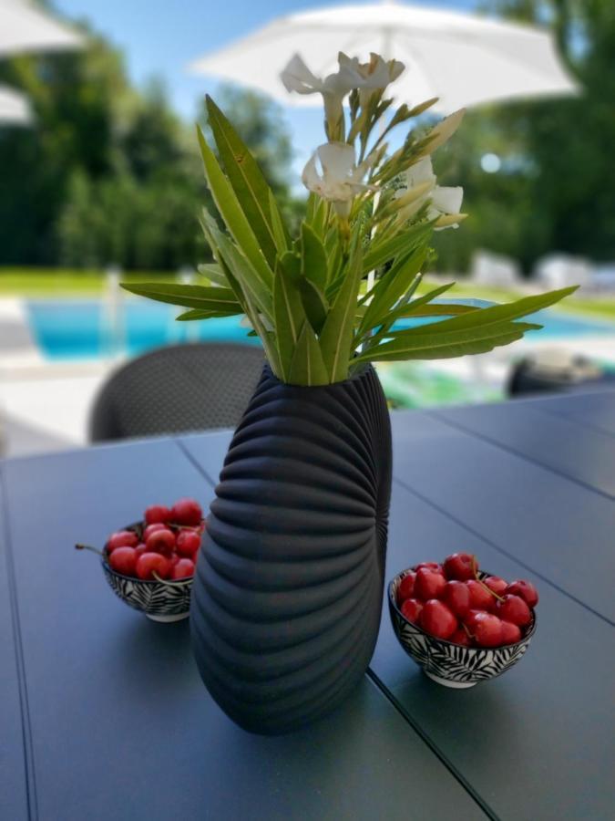 Villa Destiny Nedescina, Istrien, Kroatien エクステリア 写真