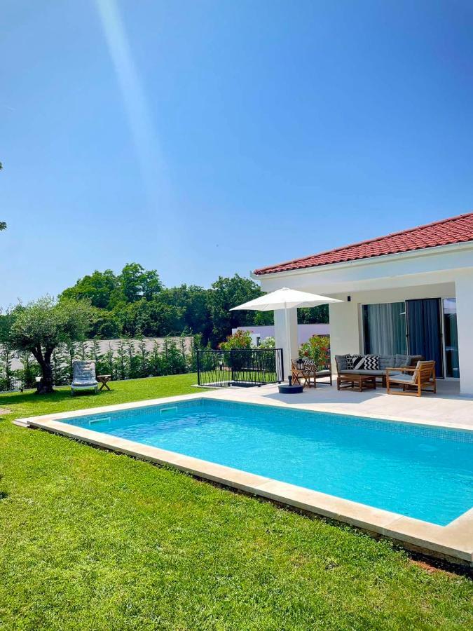 Villa Destiny Nedescina, Istrien, Kroatien エクステリア 写真